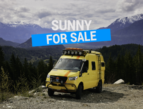 Sunny is for Sale!